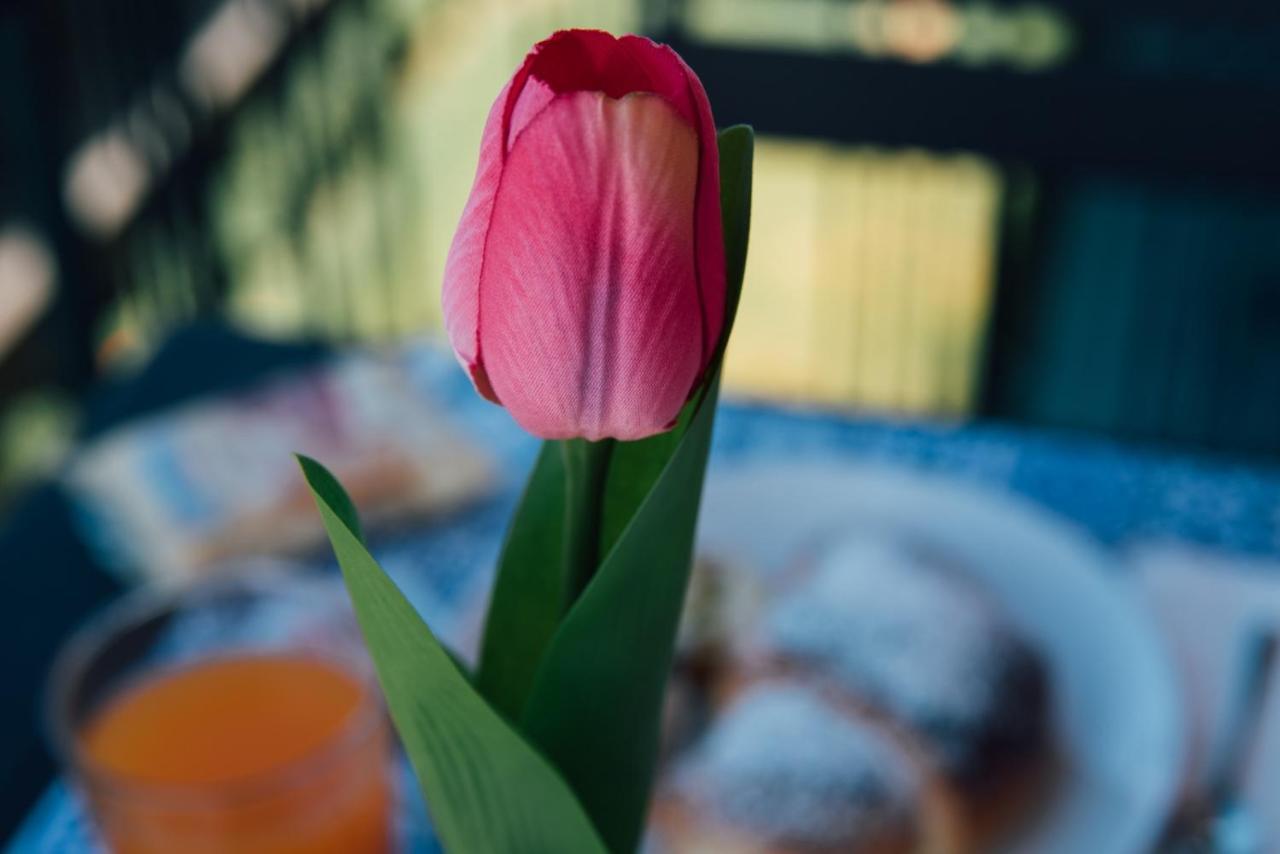 Bed and Breakfast Bluviro Bronte Exteriér fotografie